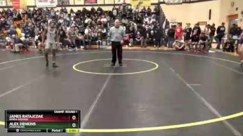 113 lbs Champ. Round 1 - James Ratajczak, Berea-Midpark vs Alex Denkins, Perrysburg