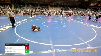 100 lbs Final - Devyn Vincent, Lions Wrestling Academy vs Luci Tiankee, Bitetto Trained Wrestling