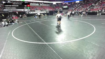 D3-215 lbs Cons. Round 1 - Sawyer Swiggum, North Crawford/Seneca vs Taydyn Angell, Cornell/Gilman/Lake Holc.