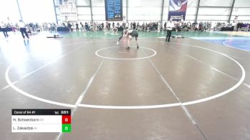 160 lbs Consi Of 64 #1 - Hunter Schoenborn, OH vs Luka Zakaidze, NY