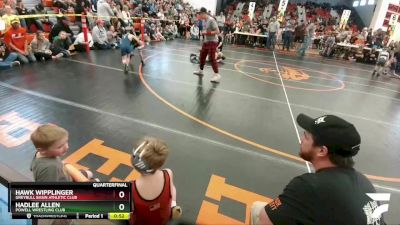 53 lbs Quarterfinal - Hadlee Allen, Powell Wrestling Club vs Hawk Wipplinger, Greybull Basin Athletic Club