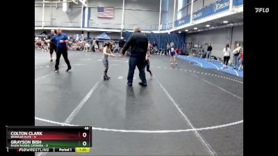 48 lbs Round 1 (4 Team) - Colton Clark, Brawler Elite vs Grayson Bish, Ragin Raisins Catawba