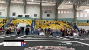 Fellip De Sá Gonçalves Projeto A vs Vitor Pantoja De Oliveira ESCOLA 2025 ADCC Brazilian Nationals