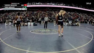 1A 175 lbs Quarterfinal - Vince Gregory, Albemarle High School vs Andrew Meadows, Mount Airy High School