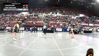 AA - 110 lbs 1st Place Match - Jackson Roby, Billings West vs Cody Westlake, Belgrade