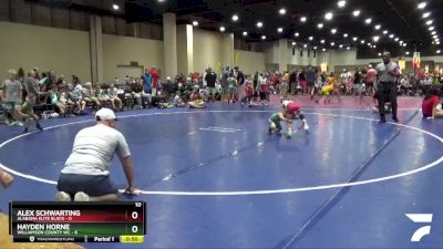 45 lbs Round 3 (8 Team) - Hayden Horne, Williamson County WC vs Alex Schwarting, Alabama Elite Black