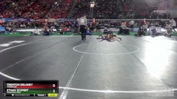 5A 120 lbs Cons. Round 1 - Ethan Schmidt, Mountain View vs Trenton DeLoney, Timberline