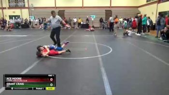 48 lbs Round 2 - Grant Craig, BYC vs Ace Moore, Laurel Wrestling Club