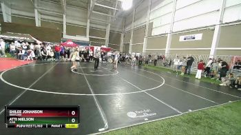 100 lbs Cons. Round 4 - Shilee Johanson, Westlake vs Atti Nielson, Juab