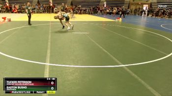 88 lbs Quarterfinal - Easton Busho, Owatonna vs Tucker Peterson, STMA (St. Michael/Albertville)