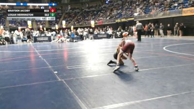 82 lbs Consy 1 - Brayden Jacoby, Moshannon Valley vs Logan Herrington, Baldwin