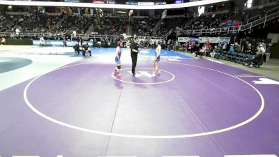 132 lbs Champ. Round 1 - Rebecca Brennan, New Paltz vs Brielle Nels, Homer