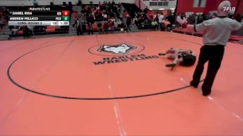 150 lbs Cons. Round 3 - Andrew Pellicci, New Lenox (PROVIDENCE CATHOLIC) vs Daniel Risa, Carol Stream (GLENBARD NORTH)