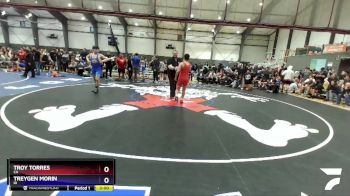 132 lbs Cons. Round 4 - Troy Torres, CA vs Treygen Morin, ID