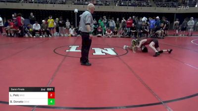 111 lbs Semifinal - Lucas Pelc, Bridgewater vs Ben Donato, Dover