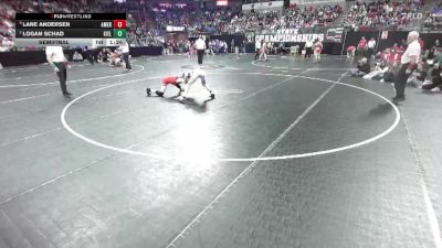 D2-120 lbs Semifinal - Lane Andersen, Amery vs Logan Schad, Kiel