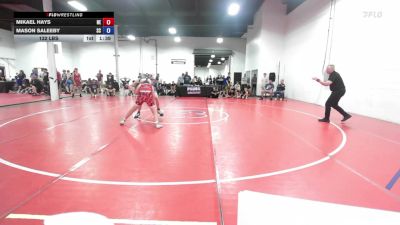 132 lbs Mikael Hays, Nebraska vs Mason Saleeby, South Carolina