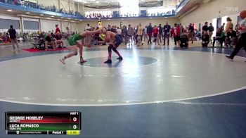 184 lbs Champ. Round 1 - George Moseley, Averett vs Luca Romasco, York (PA)