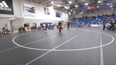 103 lbs Cons. Semi - Zoey Haney, Indiana Tech vs Lilian Prendergast, Mount Olive