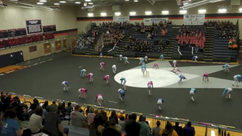 The Woodlands HS "SA" at 2025 WGI Guard Austin Regional