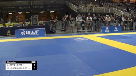 DYLEN JUN PROPES vs MARIO JOSEPH GAUDIOSO 2022 Pan Jiu Jitsu IBJJF Championship