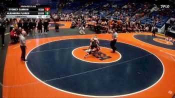 115 lbs Semifinal - Sydney Cannon, Mt. Zion vs Alejandra Flores, Bolingbrook