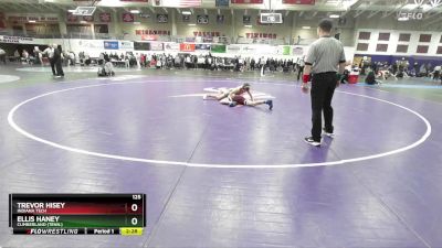 125 lbs Cons. Round 4 - Trevor Hisey, Indiana Tech vs Ellis Haney, Cumberland (Tenn.)