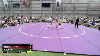 100 lbs Placement Matches (16 Team) - Anthony Ciotoli, Virginia vs Alex Rozas, Louisiana