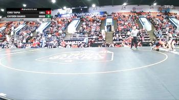 138 lbs Semifinals (8 Team) - Ciro Tapia, Lowell vs Cayden Banko, New Boston Huron