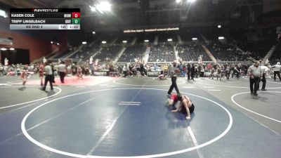 89 lbs Rr Rnd 4 - Kasen Cole, Midwest Destroyers vs Tripp Lingelbach, GRIT Athletics WC