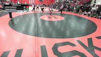 113 lbs Quarterfinal - Vince DeMarco, Grayslake (CENTRAL) vs Lucas Crandall, Palatine (FREMD)