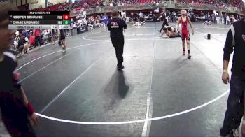 117 lbs Quarterfinal - Kooper Schrunk, Pender Kid Dragon vs Chase Urbanec, IronHawk Wrestling Academy