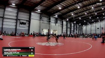 97 lbs Quarterfinal - Carson Robertson, Venom Wrestling Club vs Penelope Kaplan, West Lafayette