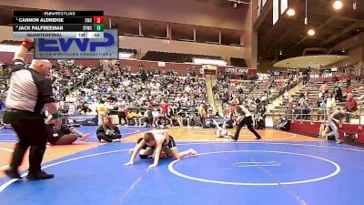 110 lbs Quarterfinal - Cannon Aldridge, Saints Wrestling Club vs Jack Palfreeman, Springdale Youth Wrestling Club