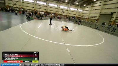 70 lbs Round 2 - Wallace King, Wasatch Wrestling Club vs Tadeo Pelayo, Team Sublime