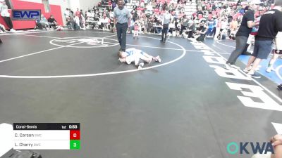 43-49 lbs Consolation - Cutter Carson, Salina Wrestling Club vs Levi Cherry, Berryhill Wrestling Club