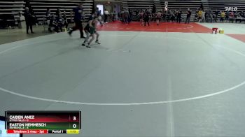 95 lbs Placement (4 Team) - Caiden Anez, Little Falls vs Easton Hemmesch, Paynesville