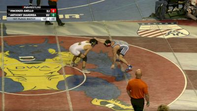 132 lbs 1st Place Match - Vincenzo Anello, Blair Academy vs Anthony DiAndrea, Watchung Hills