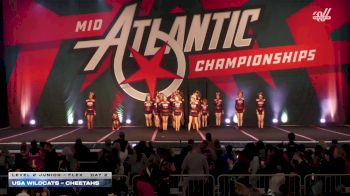 USA Wildcats - Cheetahs [2026 L2 Junior - Flex Day 2] 2026 MidAtlantic Championship Grand Nationals