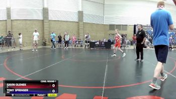 98 lbs Cons. Round 1 - Gavin Olenek, IL vs Tony Springer, OH