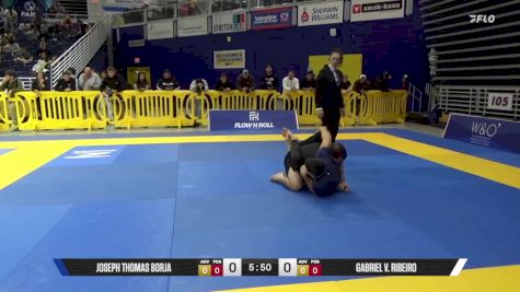 Gabriel V. Ribeiro vs Joseph Thomas Borja 2025 Pan IBJJF Jiu-Jitsu No-Gi Championship