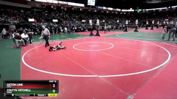 50 lbs Cons. Round 4 - Coltyn Mitchell, KAWA vs Axton Link, PPY2