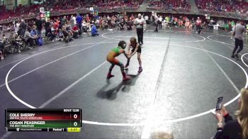 50 lbs Quarterfinal - Cole Sherry, Gretna Youth Wrestling vs Cogan Peasinger, The Best Wrestler