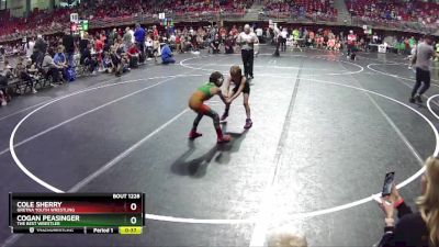50 lbs Quarterfinal - Cole Sherry, Gretna Youth Wrestling vs Cogan Peasinger, The Best Wrestler