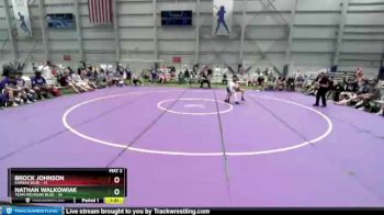 100 lbs Quarters & 1st Wb (16 Team) - Brock Johnson, Kansas Blue vs Nathan Walkowiak, Team Michigan Blue