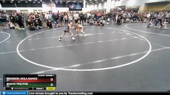 82 lbs Champ. Round 1 - Bodyn Molitor, MN vs Brandon Avila Ramos, NV