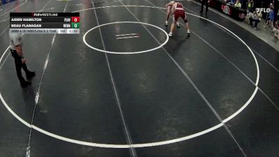 175 lbs Semis & 1st Wrestleback (8 Team) - Aiden Hamilton, Plainview vs Beau Flanagan, Weeping Water