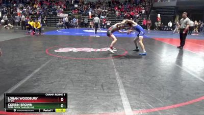 108 lbs Champ. Round 1 - Logan Woodbury, ISI WC vs Corbin Brown, Tiger Town Tanglers WC