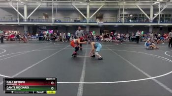 110 lbs Round 7 (10 Team) - Dale Hetrick, 84 Athletes vs Dante Ricciardi, Iron Horse