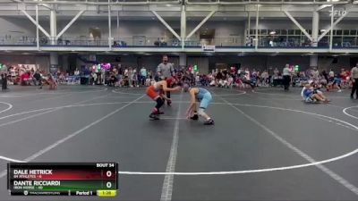 110 lbs Round 7 (10 Team) - Dale Hetrick, 84 Athletes vs Dante Ricciardi, Iron Horse